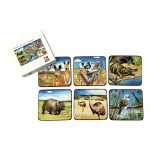 CO2 Square Fauna