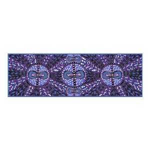 SC17NGW Design