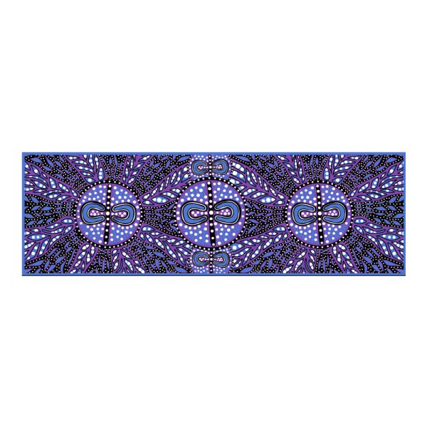 SC17NGW Design