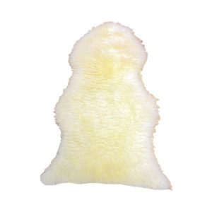 SHSKIN 1.jpg